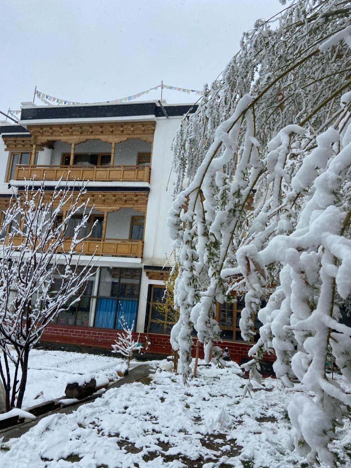 Rock Castle Residency Hotel Leh Exterior foto